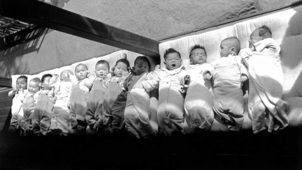 Baby boom ... mixed-race orphans taken into care were not as numerous as they were made to appear.