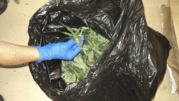 A bag of loose cannabis found near Ashfield.