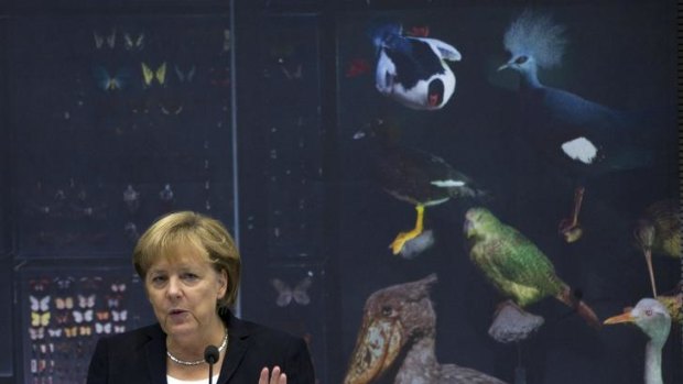 Survival strategy... the German Chancellor, Angela Merkel, is seeking parliamentary backing for the plan.