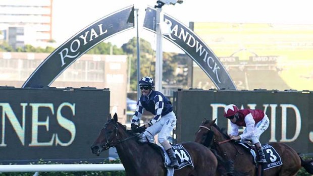 Derby daze: Glen Boss captures another big one at Randwick, this time the AJC Australian Derby on Melbourne filly Shamrocker.