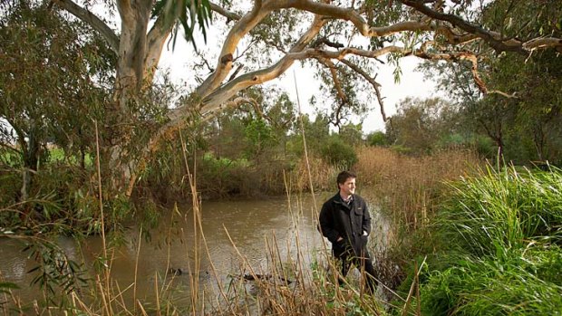 Dr Geoff Heard surveys a site at Merri Creek in Donnybrook, which is home to the frog.