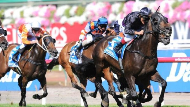 'The damn thing keeps winning': Fiorente and Damien OIiver storm home to take the Australian Cup on Saturday.