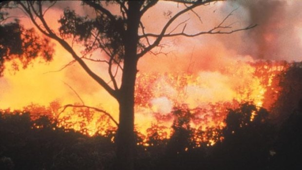 The shire of Waroona is again in a state of emergency after yet another bushfire. (file pic)