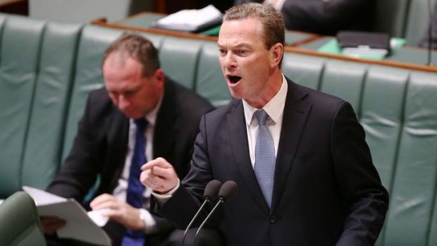 Accused of "mischief-making": Federal Education Minister Christopher Pyne.