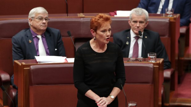 Senator Pauline Hanson wore a burqa during question time at Parliament House.