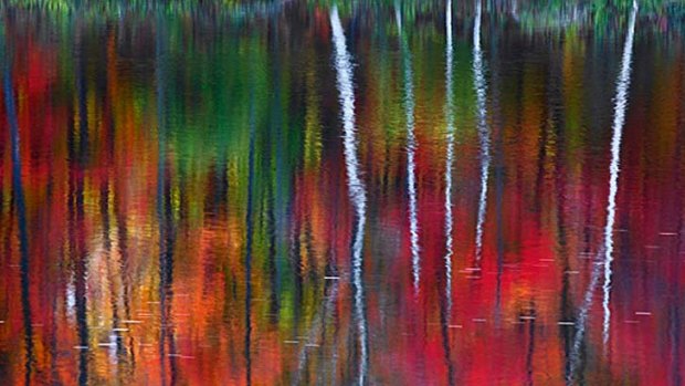 Peter Lik's photo that sold for $1 million.