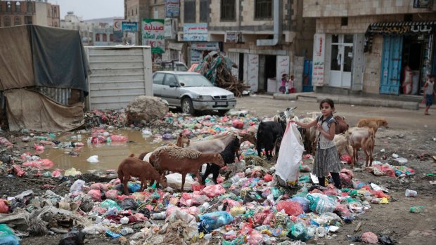 A girl scavenges at a garbage dump in a street in Sanaa, Yemen.