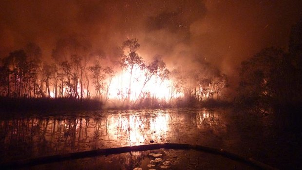 A bushfire that forced the evacuation of hundreds of North Stradbroke Island campers.