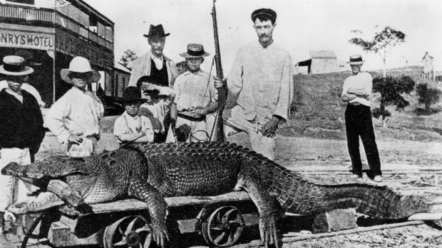 Group of men and boys posing with a dead crocodile, 1907.
