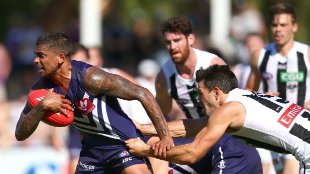 Bradley Hill looms as a key player for the Dockers in 2017.
