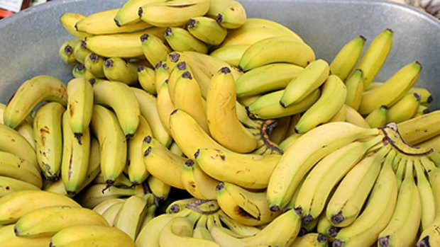 One-third of Queensland's banana crop goes to waste each year.
