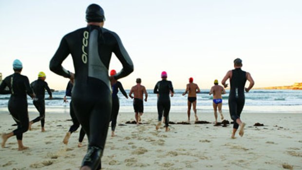 Hard yards ... Ocean swimmers take on the waves.