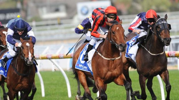 Tragic end &#8230; Lion Tamer winning the Underwood Stakes. He broke down in the Cox Plate and was put down.