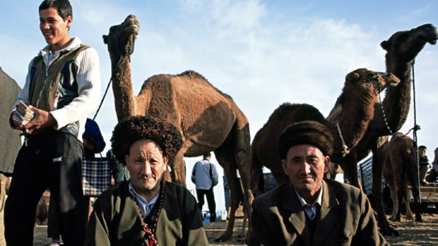 Remote beauty ... camel dealers at Tolkuchka Bazaar.