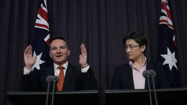 Treasurer Chris Bowen and Finance Minister Senator Penny Wong outline the government's mini-budget.