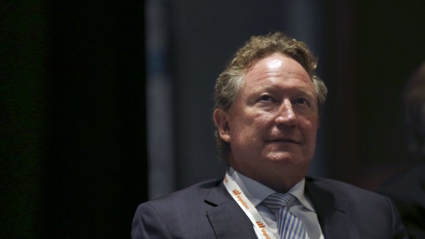 Looking for new revenue streams in face of the iron ore rout: Fortescue founder Andrew Forrest.