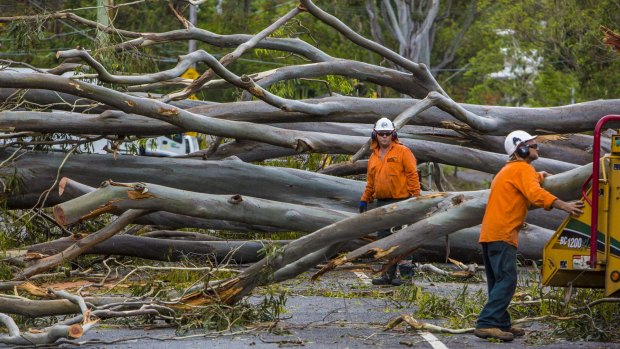 Chaos: The storm left a trail of destruction and debris across 59 suburbs of Brisbane.