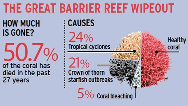 Reef wipeout.