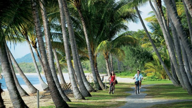 Got the lot ... palm-fringed beachside resort town, Palm Cove.