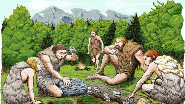 This drawing provided by Abel Grau Guerrero shows mostly vegetarian Spanish Neanderthals munched on mushrooms, pine nuts and moss. Scientists got a sneak peek into the kitchen and medicine cabinets of three Neanderthals by examining the DNA of the stuff stuck on and between their teeth. What they found smashes a common meaty misconception of the caveman diet and hints that one sickly Neanderthal had found what may be primitive versions of penicillin and aspirin to help him with his pain. (Abel Grau Guerrero via AP)