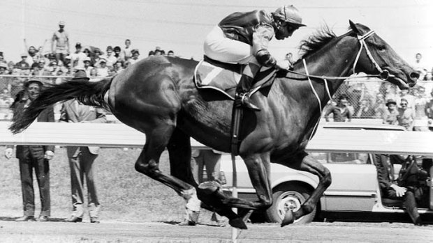 Peter Cook on Just A Dash leads the way to win the 1981 Melbourne Cup.