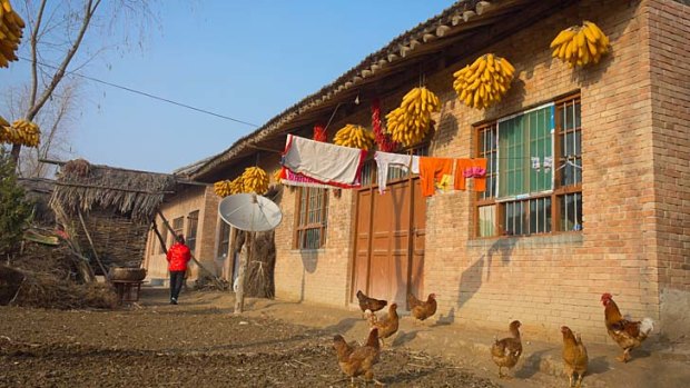 Village life in Shaanxi.