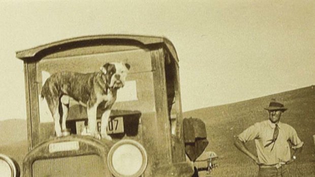 Happy Valley ... Patrick White with his bulldog, Soames, on Bolaro Station.