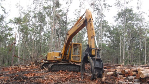 NSW EPA took a dim view of the oversight of Forestry Corp.