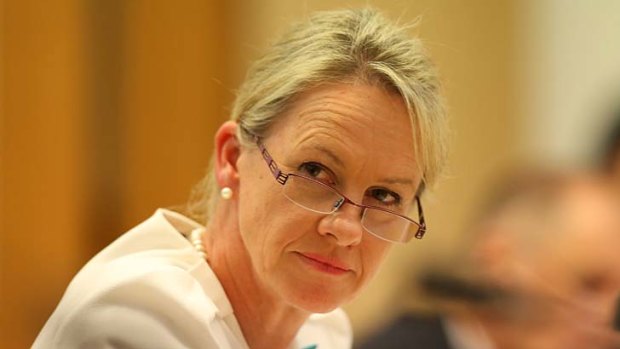 Healthcare: Assistant Health Minister Fiona Nash is under fire.