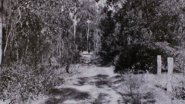 Crime scene photographs of the location where the bodies of Lorraine Ruth Wilson and Wendy Joy Evans were found in 1978.