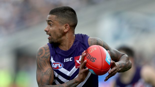 Bradley Hill, Stephen Hill's brother, has been a valuable addition for Fremantle in 2017. 