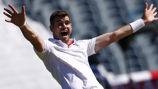 Enjoying life: James Anderson celebrates the wicket of George Bailey.