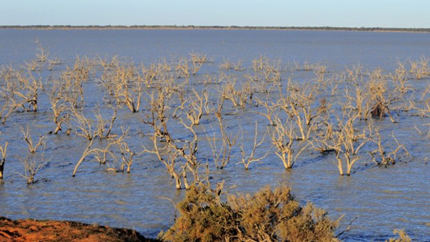 Lake Pamamaroo, near Broken Hill, brims with water. 