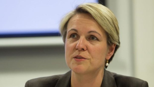 An outbreak of Ebola within the Asian region could be "potentially catastrophic", says Labor MP Tanya Plibersek.