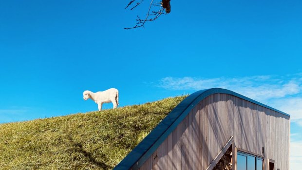 The Farmer's Hut on Wilga Station.