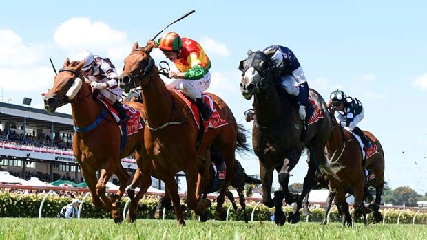 Winner and grinner: Happy Trails wins the Emirates for trainer Paul Beshara.