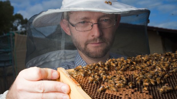 Professor Boris Baer, director of CIBER, has been studying bees for a decade with his wife and study partner, Barbara Baer.