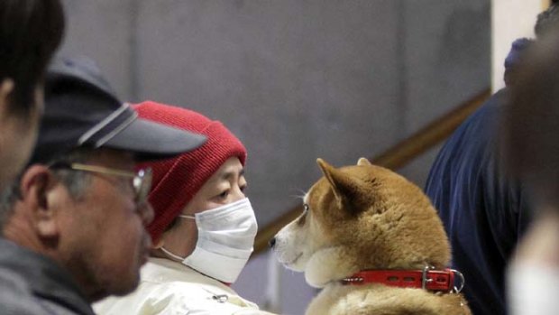 A man holds his dog as they wait to be scanned for radiation exposure at a temporary scanning centre for residents living close to the quake-damaged Fukushima Dai-ichi nuclear power plant.
