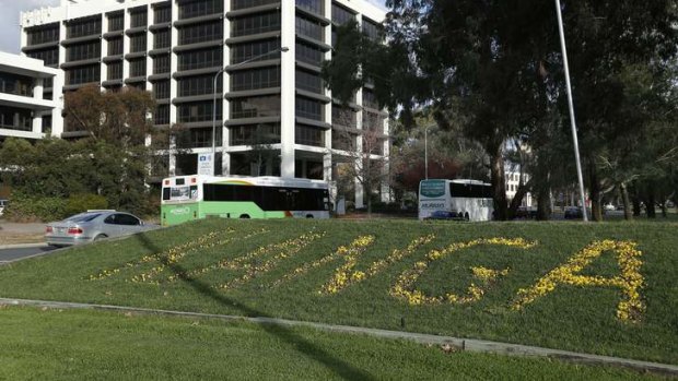 For sale ... The government will begin charging not-for-profit organisations for flower displays on Northbourne Avenue.