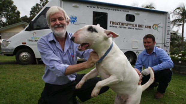 Call of wild...Dr Newell with Rosa, an English bull terrier, and Tony Wiseman who takes the collection van to dog shows.