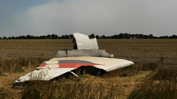 A portion of the MH17 wing lies in a field.