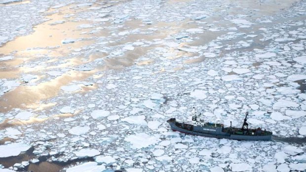 Whaling as they see fit ... Japanese whaling ship, the Yushin Maru No. 1, cuts through ice in the southern Atlantic Ocean.
