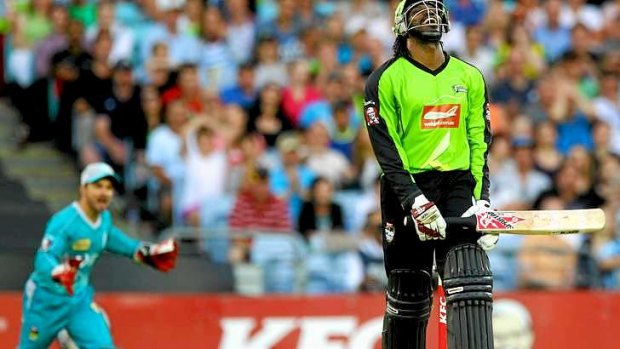 Star West Indies batsman Chris Gayle soaked up money and deliveries during his stint at the Sydney Thunder, says former coach Shane Duff.