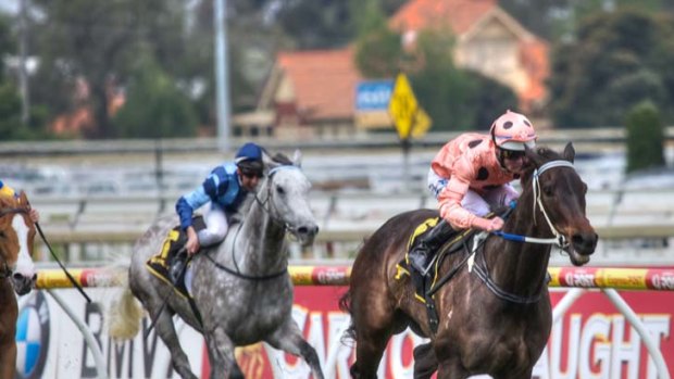 Black Caviar races into history.