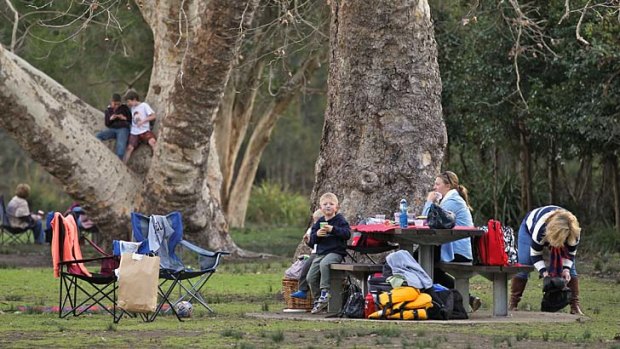 Royal treatment: Visitors to Royal National Park topped 4 million last year.