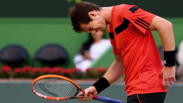 Back from injury: Britain's Andy Murray.