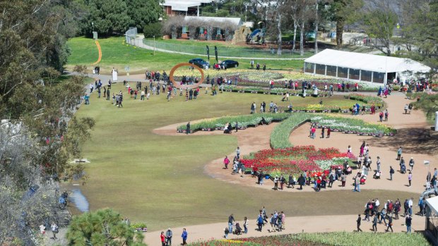 Floriade 2016 from the air. The portable flower beds are arranged in the shape of a tulip. 