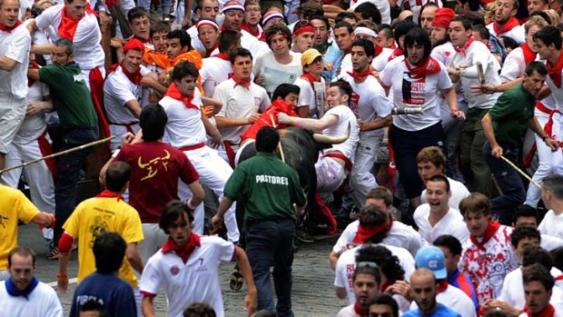 Refusing to run ... Fugado, a 545 kg Cebada Gago fighting bull turns back on the crowd during the running of the bulls in Pamplona.