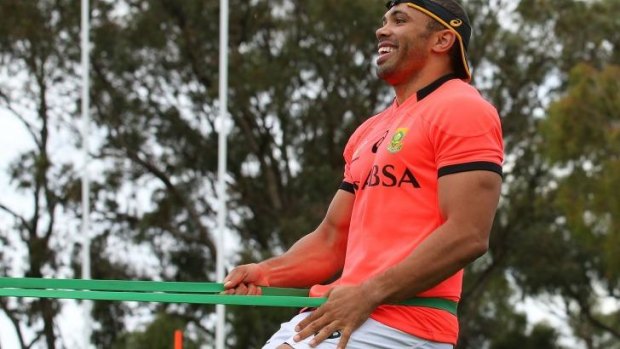 Out of Africa: Bryan Habana trains with the Springboks in Perth this week.