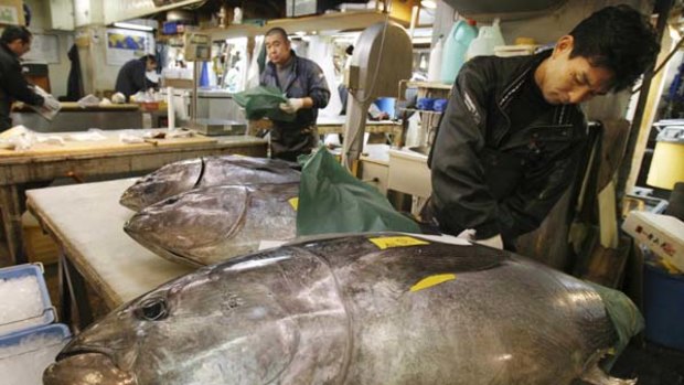 Fish dealers prepare to slice bluefin tuna at Tsukiji Wholesale Market in Tokyo.